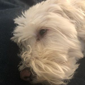 Meet your Posher, Mitchell